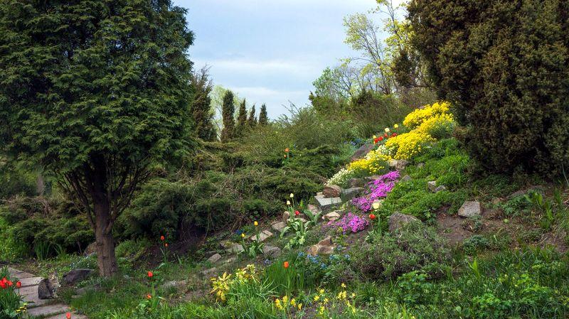 Kiev A.V. Fomin Botanical Garden